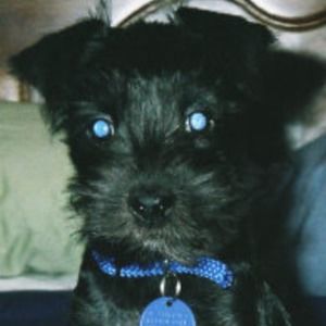 Meet your Posher, Beverley